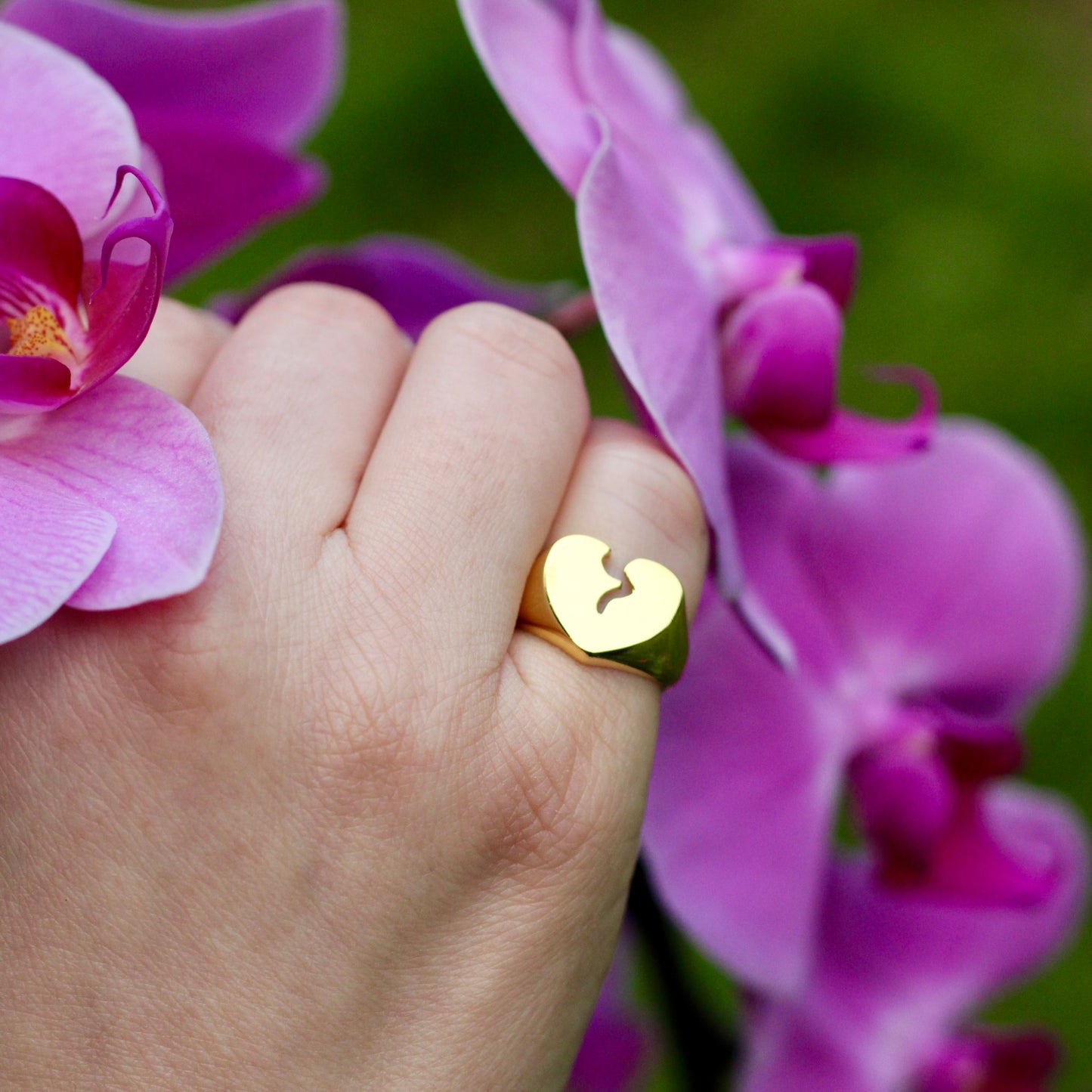 Heartbroken Signet